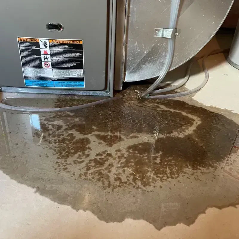 Appliance Leak Cleanup in Schulenburg, TX